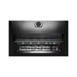 Barbecue Gaz Encastrable Built-In BIG 32 4 Brûleurs + 1 Brûleur Arrière - NAPOLEON -Weber Soldes barbecue gaz encastrable built in big 32 4 bruleurs 1 bruleur arriere napoleon 3