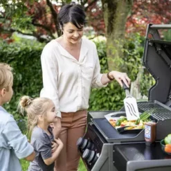 Barbecue Gaz Rogue 365 R 2 Brûleurs - NAPOLEON -Weber Soldes barbecue gaz rogue 365 serie r 2 bruleurs 2