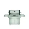 Barbecue Charbon De Bois Pro 605 Inox NAPOLEON -Weber Soldes barbecue inox pro 605 charbon napoleon